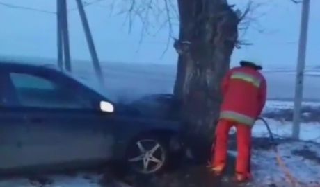 Un automobil de marcă Volvo a ajuns într-un copac.