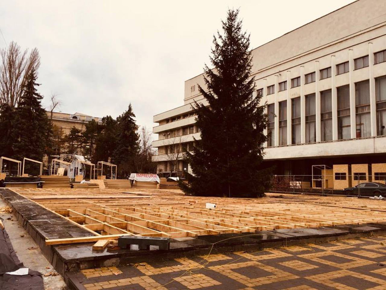 Pomul de Crăciun al Guvernului, inaugurat. Transportul public, redirecționat