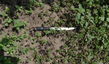Poliţia încearcă să stabilească motivul săvârşirii crimei, iar tânărul riscă să facă 15 ani de puşcărie pentru omor intenţionat.
