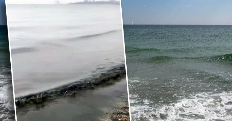 В Одессе почернело море: очевидцы публикуют кадры загрязнения.