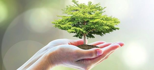 До 2020 года в Молдове будет разработан Национальный доклад о состоянии окружающей среды.