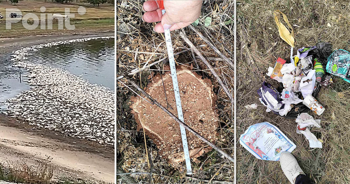 В Тараклийском водохранилище погибли сотни рыб.