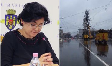 Rezultatele anchetei privind achiziţionarea bradului buclucaş. Foto: basarabia.md