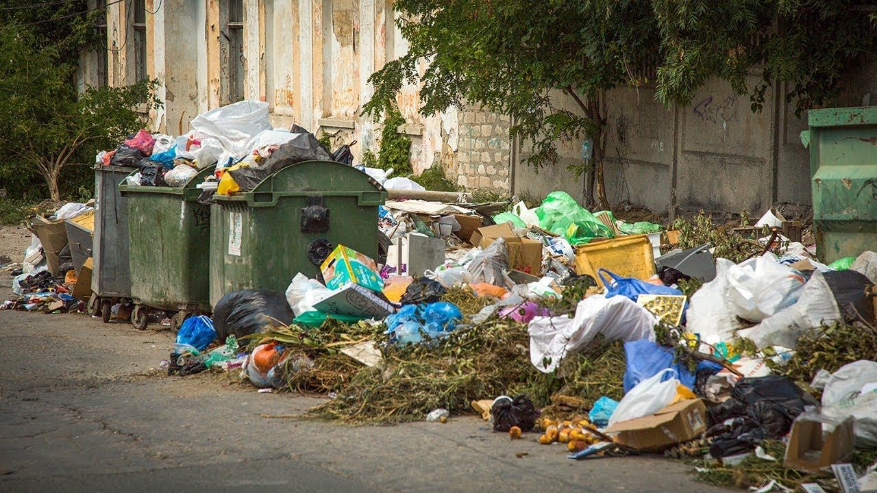 Более 30% продуктов в мире отправляются в мусорное ведро.