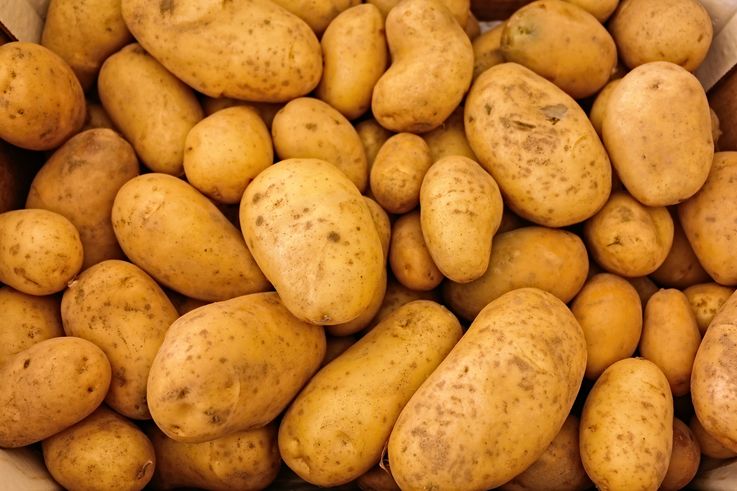 В Дании продают картофель по 200 евро за кг