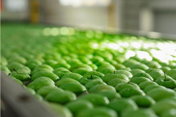 Молдавские производители яблок заинтересованы в экспорте своей продукции в Индию.