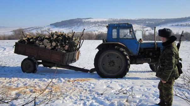 Пограничные полицейские передали дело для дальнейшего расследования Чадыр-Лунгскому комиссариату полиции.