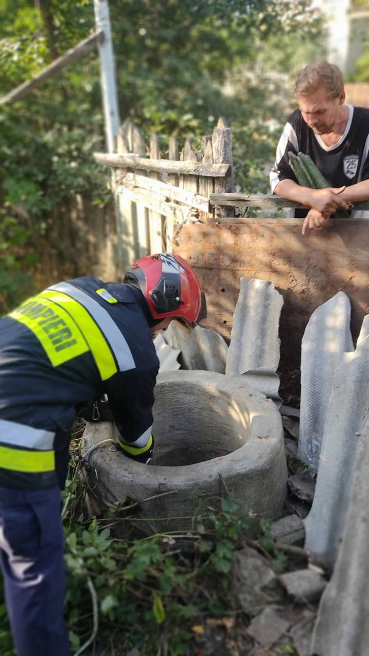 В Каушанах сотрудники ГИЧС спасли собаку из колодца и эвакуировали змею из квартиры.