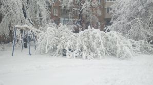 Stare excepțională în Chişinău, din cauza ninsorii Foto: publika.md