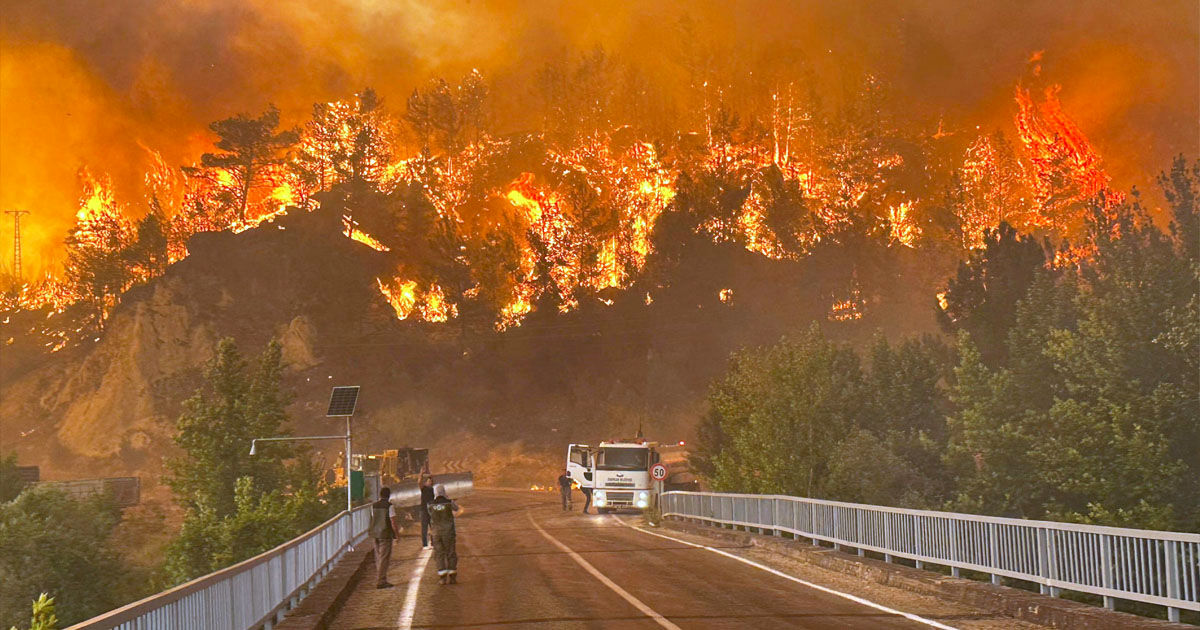 În Turcia continuă incendiile forestiere: Două provincii, declarate zone de dezastru natural.