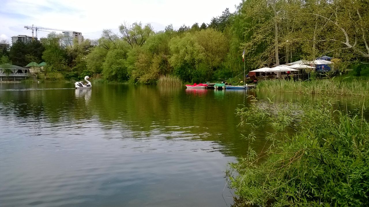 Parcul "Valea Trandafirilor" este în prag de catastrofă ecologică. Foto: bunduche.wordpress.com