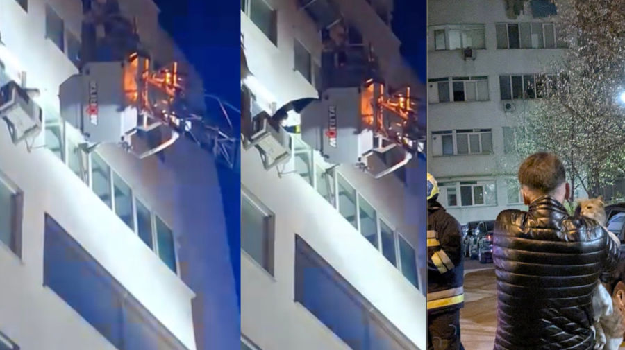 В Кишиневе сотрудники ГИЧС в пасхальную ночь спасли кота, сняв его с карниза шестого этажа.