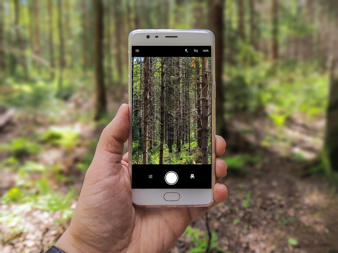 Google Lens появился на всех Android-смартфонах.