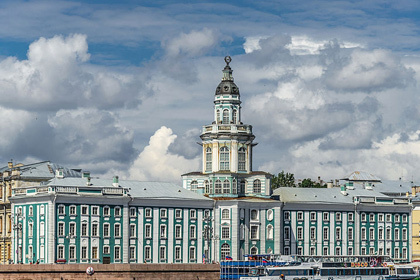По информации издания Vip-Barnaul, женщина признала свою вину, однако не смогла дать внятного ответа о мотиве преступления.