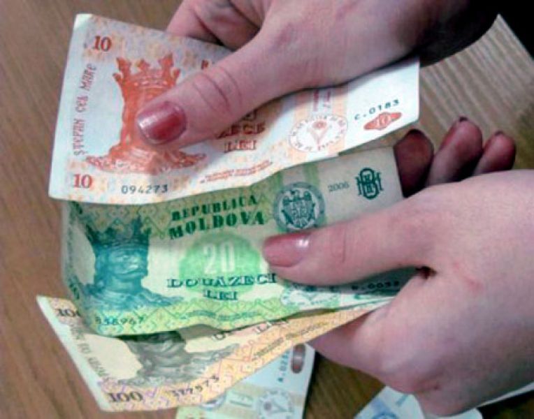Cele mai mici salarii sunt cele ale persoanelor care muncesc sectorul agricultură, silvicultură și pescuit. Foto: moldova-suverana.md