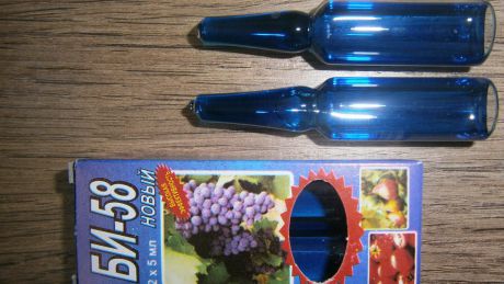 Insecticidul de tip BI-58 vândut, în ţara noastră, în recipiente de plastic mai mici sau mai mari de un litru, ar putea fi contrafăcut. Foto: my-sadiba.com.ua
