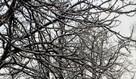 Meteorologii anunţă pentru astăzi precipitaţii sub formă de ninsoare şi lapoviţă. Izolat se va produce ceaţă slabă, iar pe drumuri se va forma gheţuş.