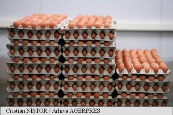 Правительство примет меры для упрощения экспорта мяса птицы и яиц на рынок ЕС.