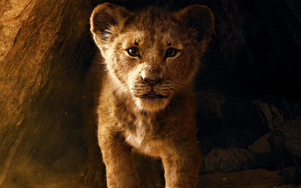 Disney снимет продолжение ремейка «Короля Льва». Фото: legion-media.ru.