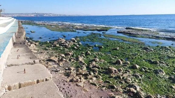 Мраморное море отступило на 15 метров от берега в районе Стамбула.