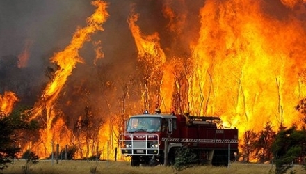 Peste 200 de case au fost deja distruse și alte 120 afectate de incendiile izbucnite de mai multe zile în statul New South Wales (sud-estul Australiei) și răspândite de vânt.
