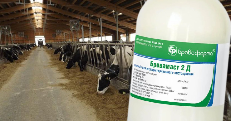 Партия ветеринарных препаратов изъята из продажи. Коллаж: Point.md