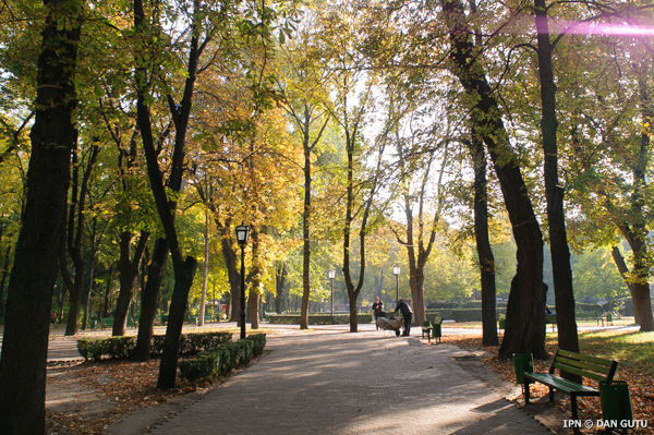 Похолодания наступят с 14 ноября. Фото: ipn.md