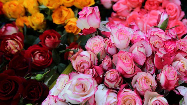Trucuri să păstrezi florile proaspete mai mult timp. 