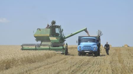 Начало уборки первой группы зерновых культур в Молдове показывает, что урожайность пшеницы и ячменя в этом году может быть на 30% ниже запланированного.