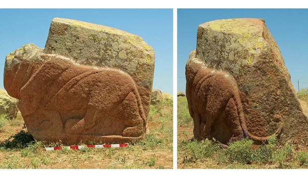 Povestea misterioşilor lei de piatră începe în anul 2001