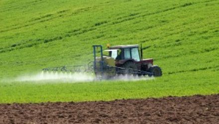  Grâu alimentar vom avea îndeajuns pentru anul curent şi viitor, însă vom pierde mult la export”, spunea Vasile Bumacov.