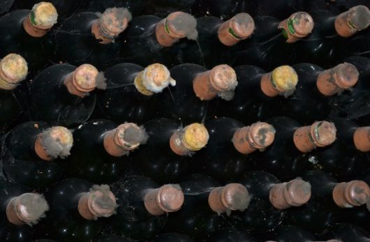 Un număr de 300 de sticle cu băuturi spirtoase, 150 litri de vin şi 200 litri de alcool etilic urmau să fie vândute ilegal în piaţă centrală din capitală.