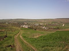 În Moldova avem circa 1000 km de diguri. Foto: tripmondo.com