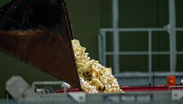 Ранее был объявлен полный запрет на транспортировку яиц и мяса домашней птицы.