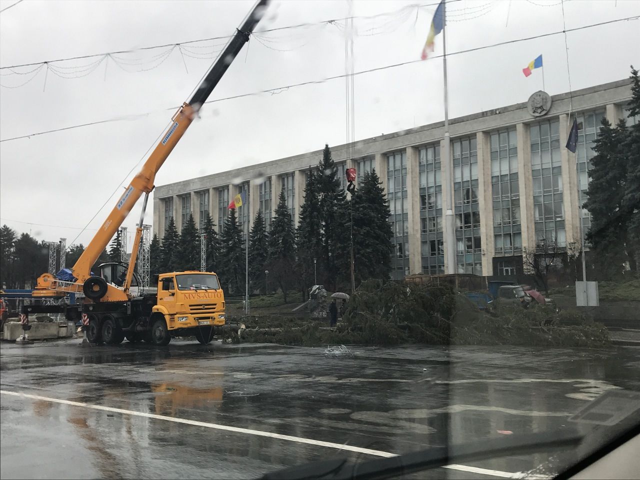 Principalul pom de Crăciun al țării, tăiat înainte de inaugurare