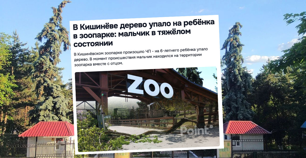 Administrația Grădinii Zoologice: Am cerut vizitatorilor să nu se apropie de zonele periculoase.