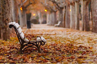 În weekend vom avea parte de vreme mohorâtă, dar cu temperaturi plăcute. 