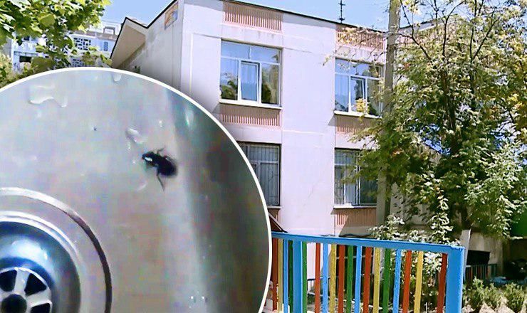 Родители столичного детсада жалуются на тараканов, кусающих детей.