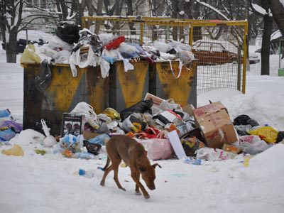 Случаи экологического беззакония в столице были включены в издание «Черной книги».