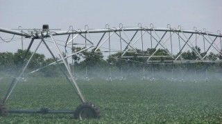 Фермеры Молдовы смогут использовать для ирригации воду из озер и водохранилищ.