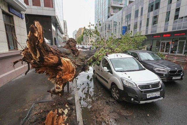 Из-за урагана в Москве пострадало более 100 человек.