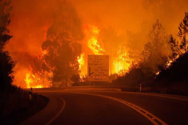 Trei zile de doliu național în urma incendiilor din Portugalia, soldate cu 62 de morți. 