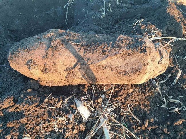 В Молдове нашли 50-килограммовую авиационную бомбу времён ВОВ. Фото: aif.md.