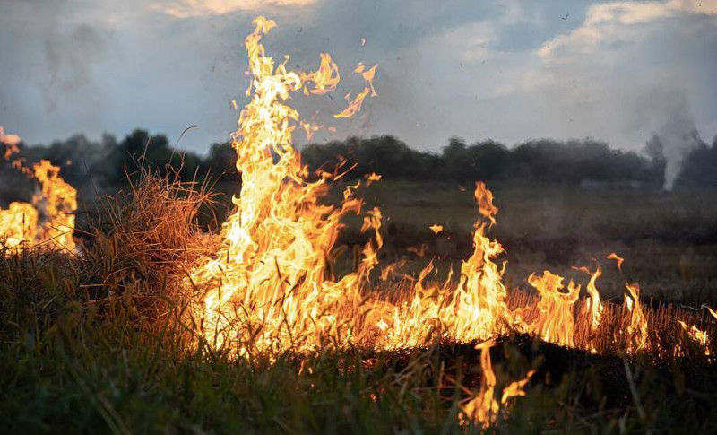 O femeie a suferit arsuri la Nisporeni: A încercat să stingă singură un incendiu.
