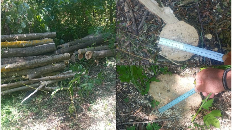 Природоохранные инспекторы выявили нарушения в Сорокском районе.