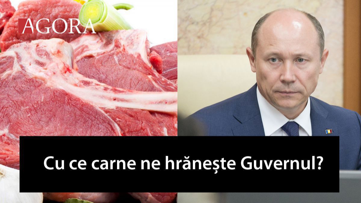 Guvernul Streleț a aprobat pe 5 august 2015 o Hotărâre care vizează norma de sănătate animală și publică. Foto: agora.md