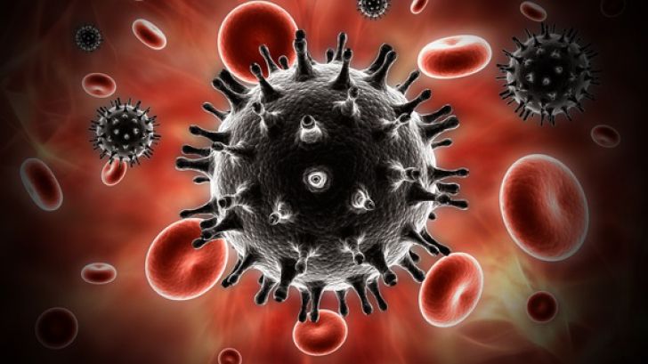 Inctredibil! A fost descoperită grâna care ar trata cancerul