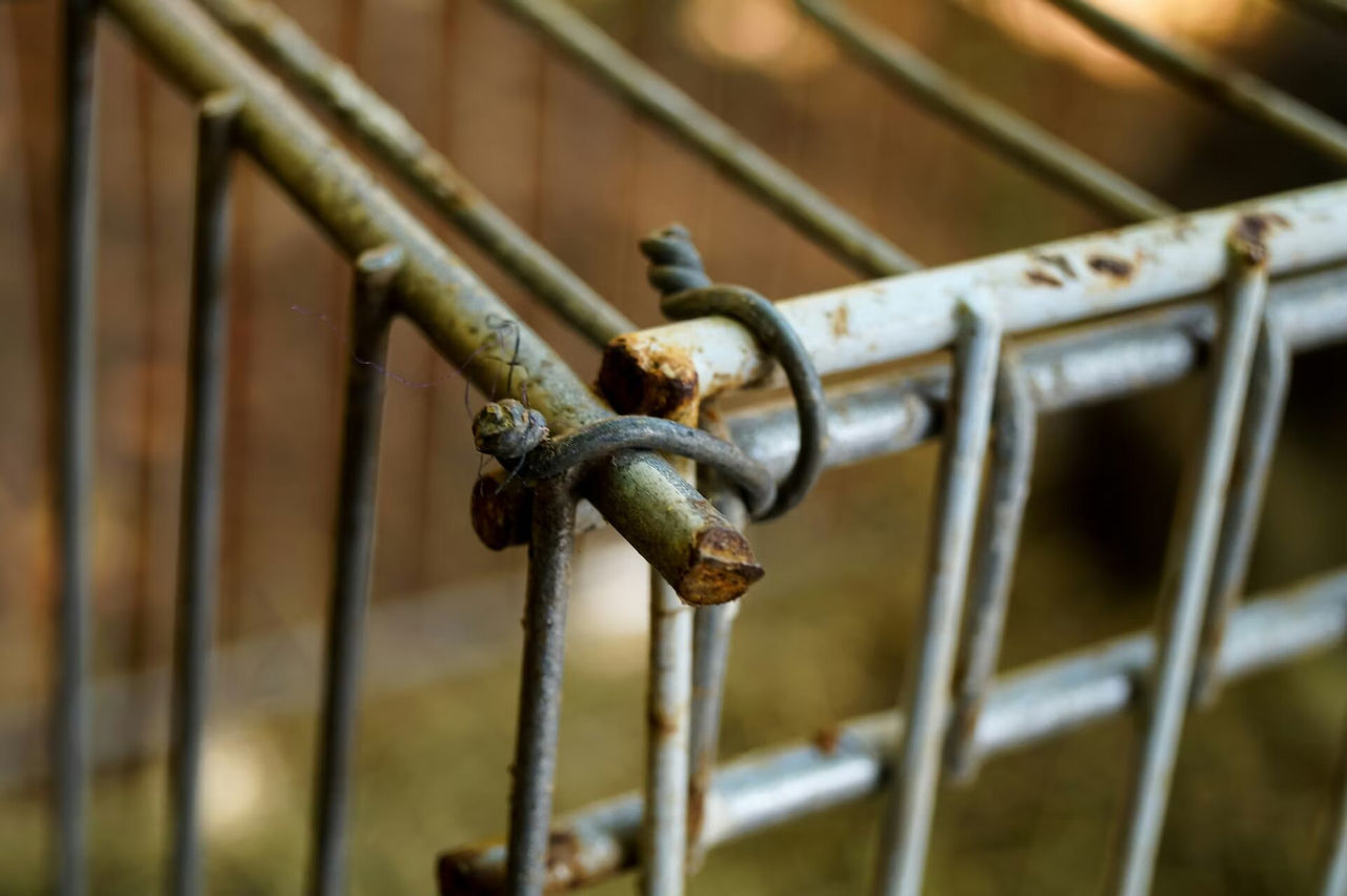 O femeie din SUA și-a ținut nepoata cu dizabilități de dezvoltare într-o cușcă.