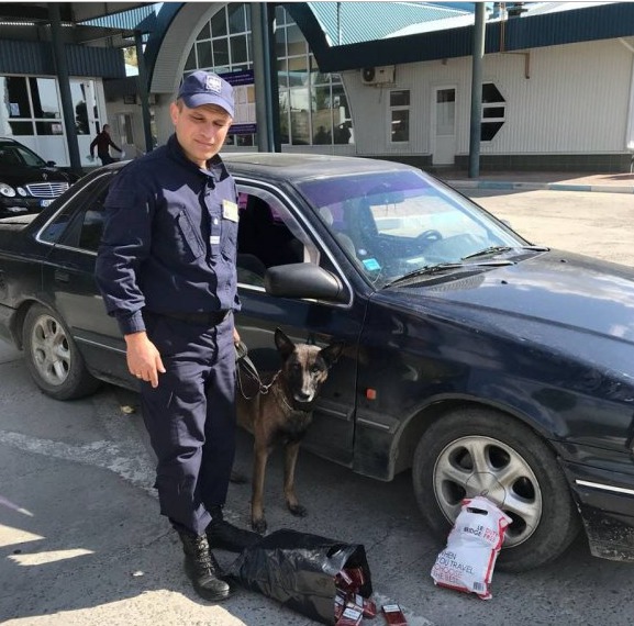 Собака по кличке Неро помогла таможенникам выявить партию контрабандных сигарет.