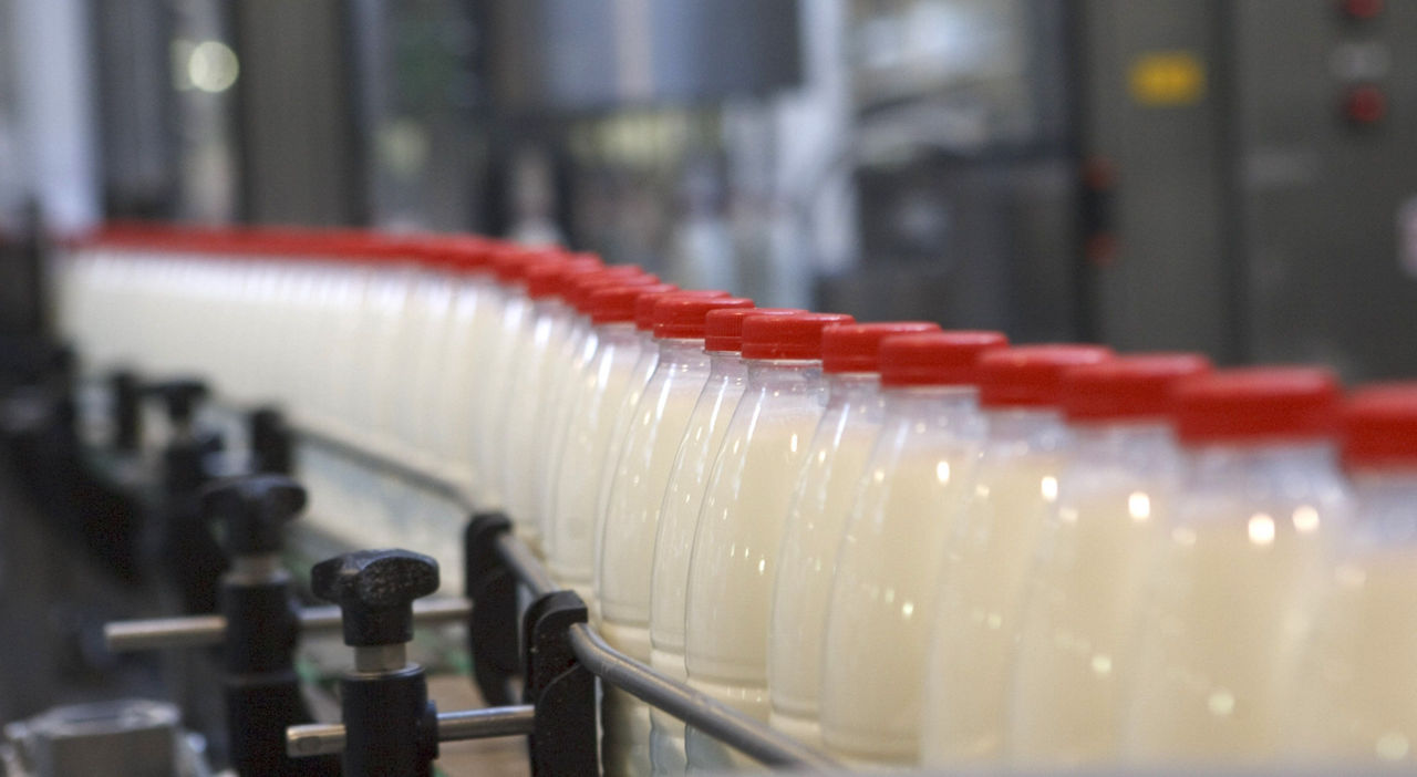 Producția de lapte în Moldova s-a redus la jumătate în ultimii zece ani.